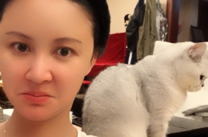 我们是恩人——以动画为媒 加深中塞交情